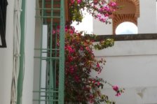 780 cordoba bario de la juderia